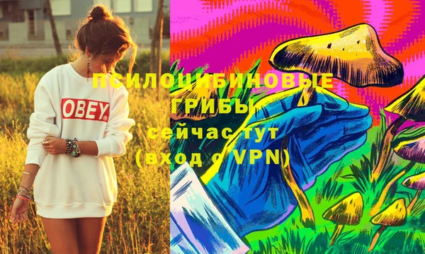 ГАЛЛЮЦИНОГЕННЫЕ ГРИБЫ Беломорск