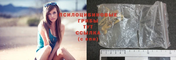 бутират Белокуриха