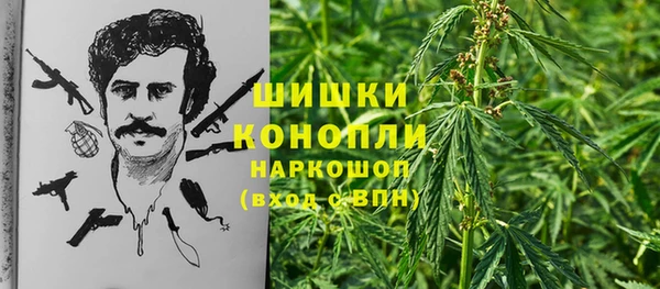бутират Белокуриха