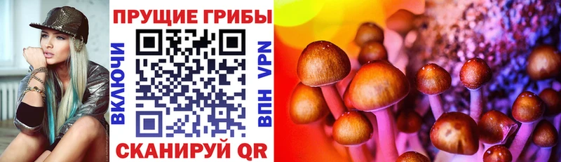 Галлюциногенные грибы мухоморы  Купить  Нолинск 