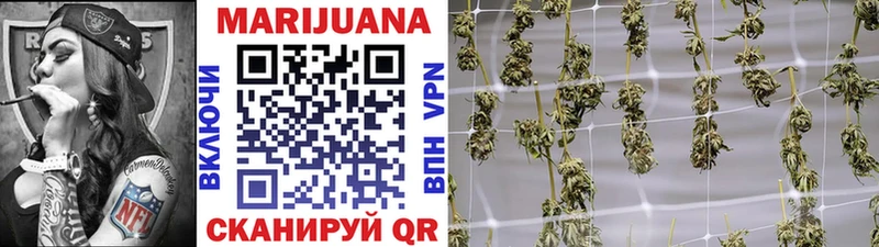 Канабис SATIVA & INDICA  Купить где  Нолинск 